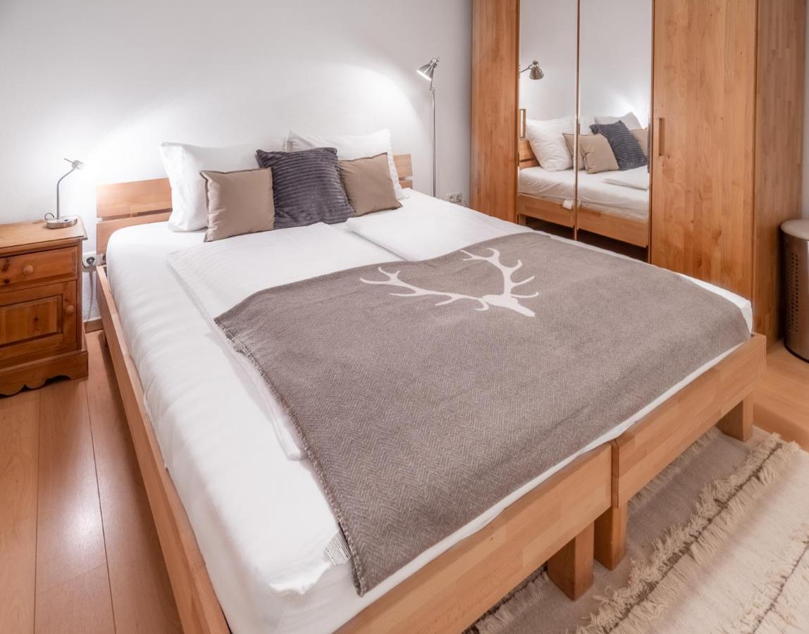 Schmitten & Cityxpress Apartment 1 And 2 Zell am See Exterior foto